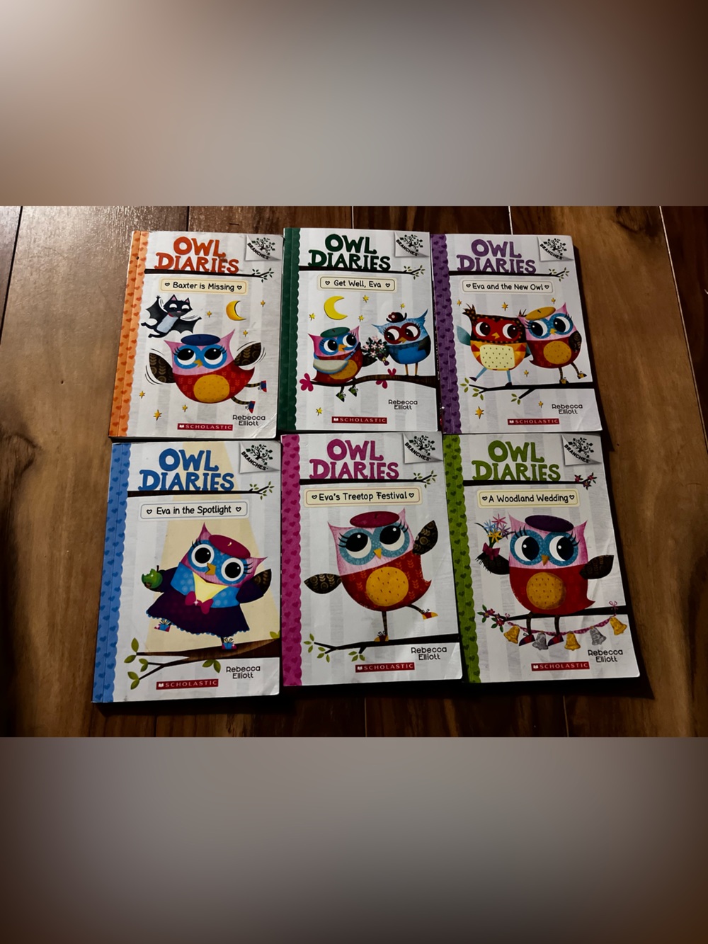 Owl Diaries book bundle